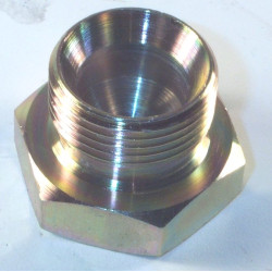 1'' BSP BLANKING PLUG